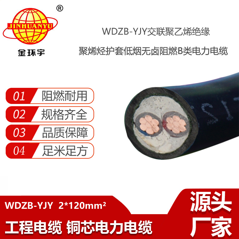 金环宇电线电缆 低烟无卤阻燃b类电力电缆 WDZB-YJY 2X120平方
