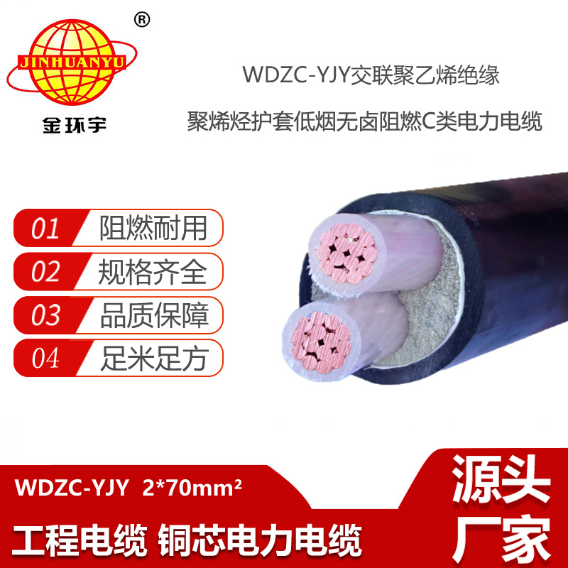 金环宇电线电缆 深圳低烟无卤阻燃电缆 WDZC-YJY 2X70平方 电力电缆