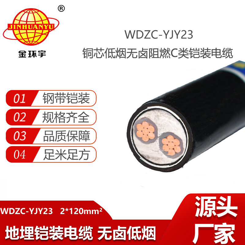 金环宇电线电缆 WDZC-YJY23-2X120平方 低烟无卤铠装电缆 c级阻燃电缆