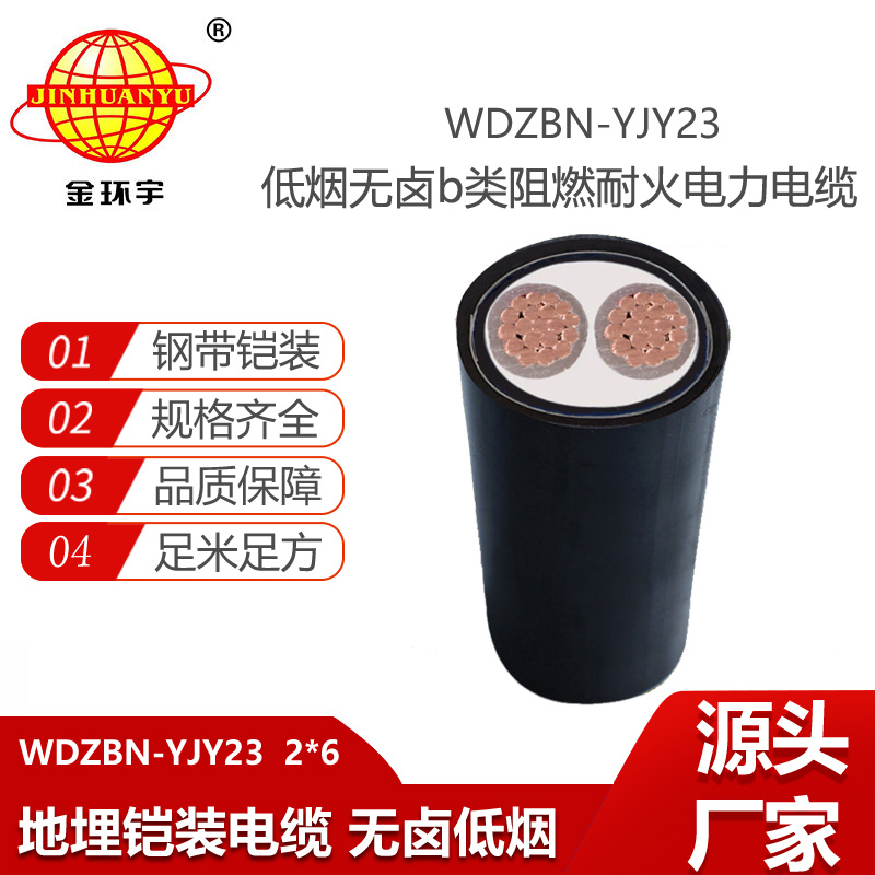 金环宇电线电缆 WDZBN-YJY23-2X6阻燃b类耐火铠装电缆 深圳低烟无卤电缆报价
